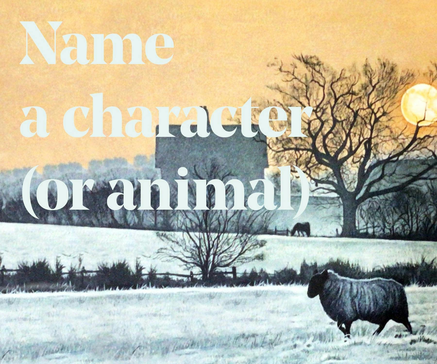 Name a character or animal. (Plus a signed hardback).
