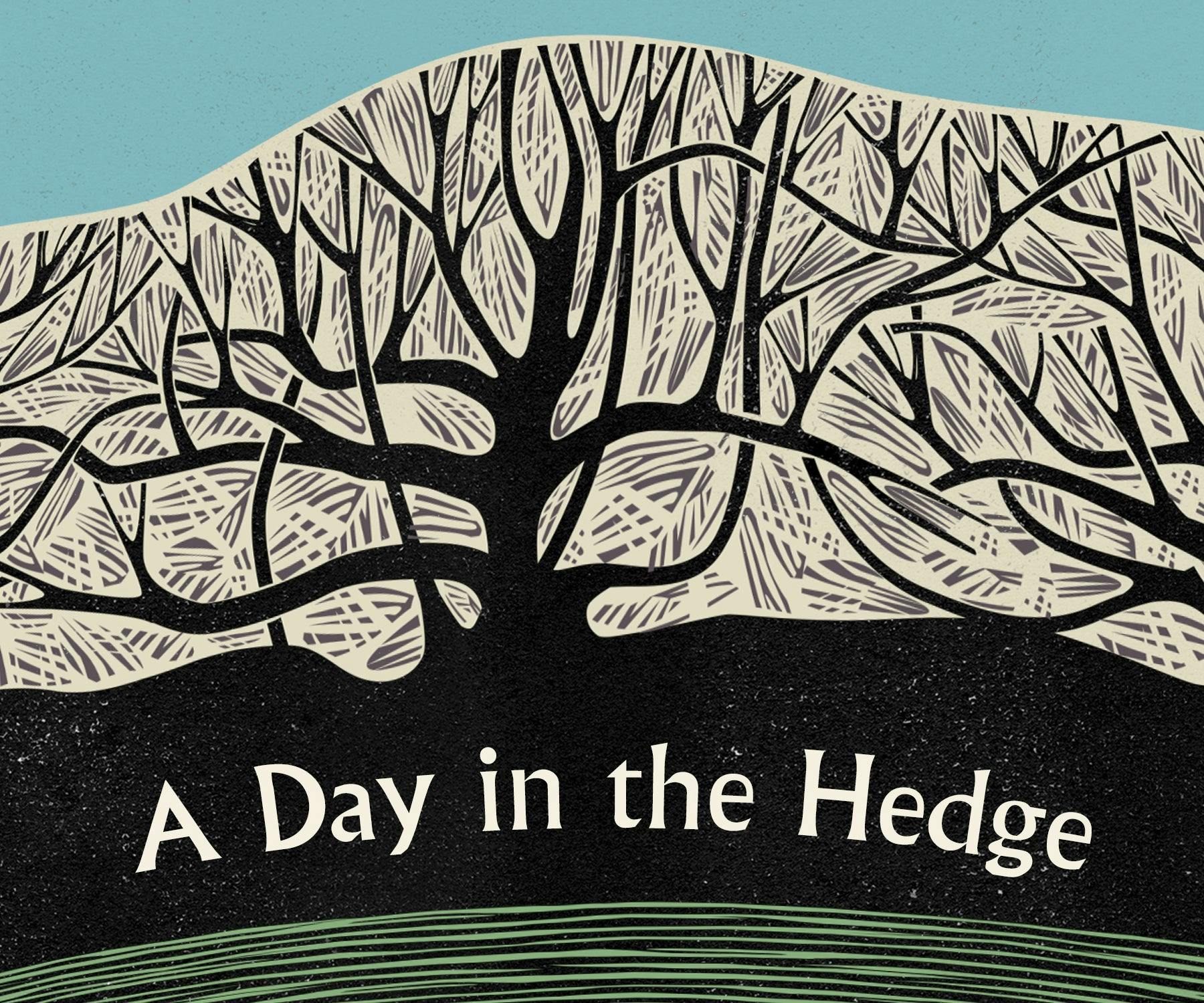 A Day in the Hedge